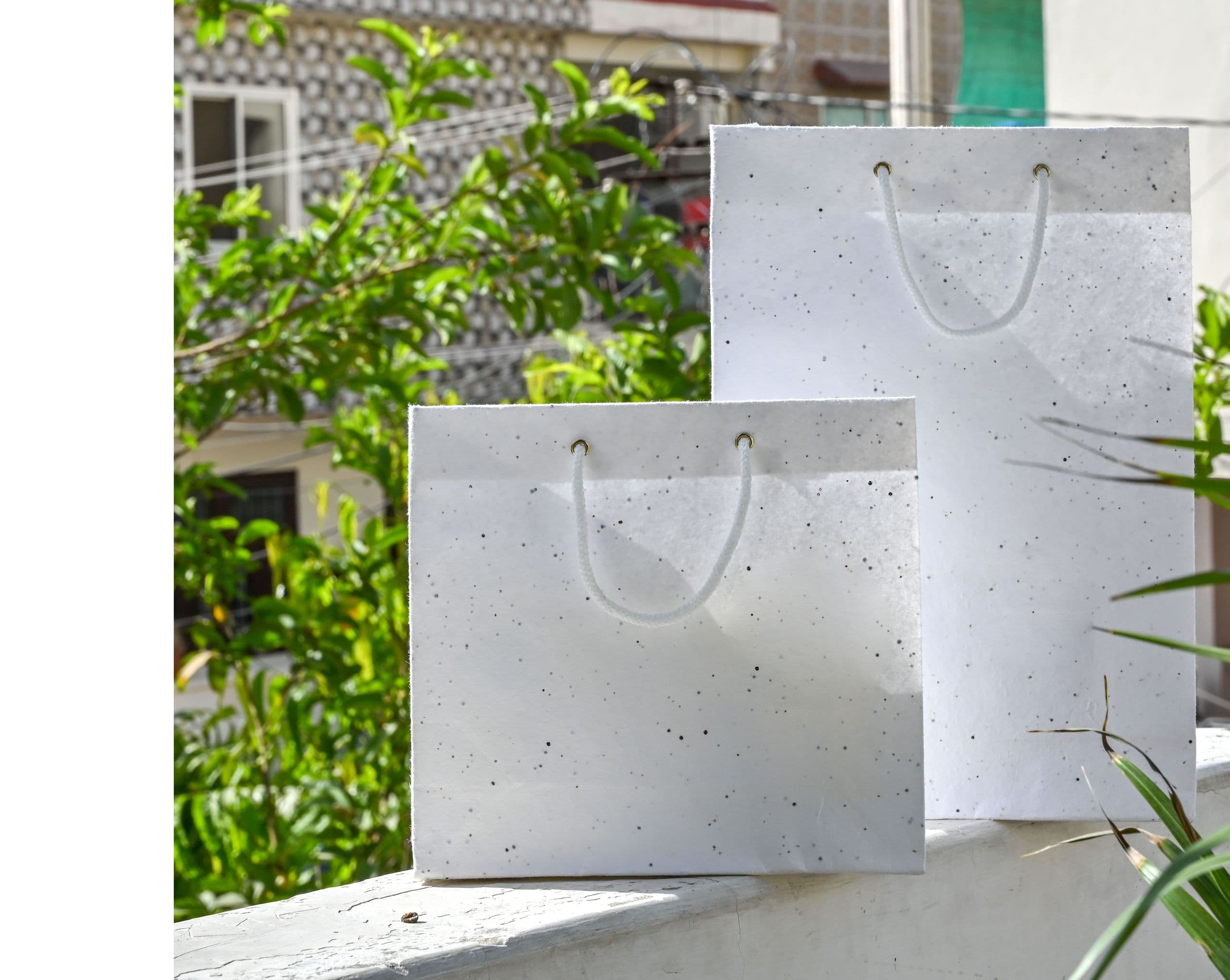 euphoricpaper-seed-paper-bags-7484583.jpg